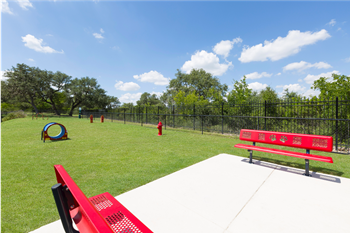 Dog park